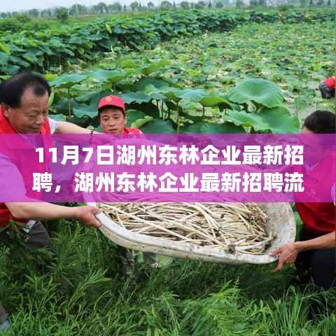 湖州东林企业最新招聘指南,11月7日求职指南与招聘流程详解
