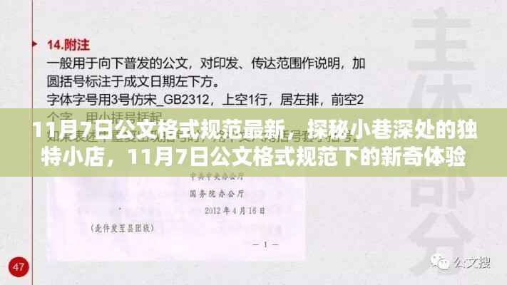 探秘小巷深处的独特小店,揭秘最新公文格式规范下的新奇体验