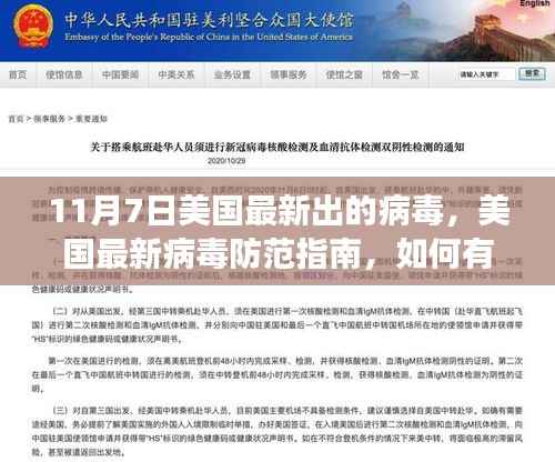 美国最新病毒防范指南,应对11月7日病毒威胁,初学者与进阶用户必备指南
