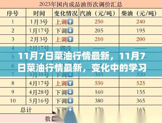 11月7日菜油行情最新动态,变化中的学习,自信与成就感的源泉