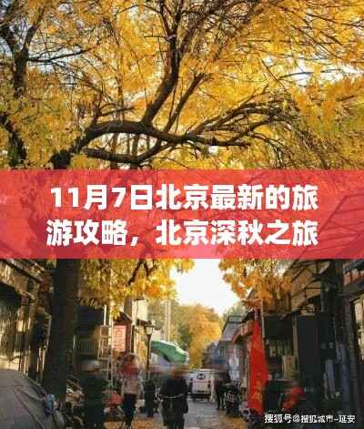 北京深秋探秘之旅,11月7日与好友温馨探秘日常攻略