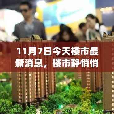 11月7日楼市最新动态与心灵自然之旅,楼市静悄悄,美景探索不停歇
