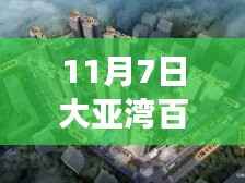 大亚湾百惠园最新房价走势深度解析,数据、趋势与未来展望(11月最新更新)