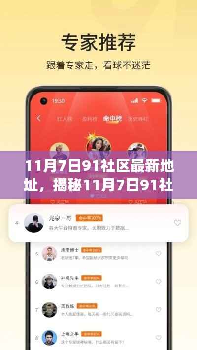 揭秘，11月7日91社区最新地址及其变迁与要点深度探讨