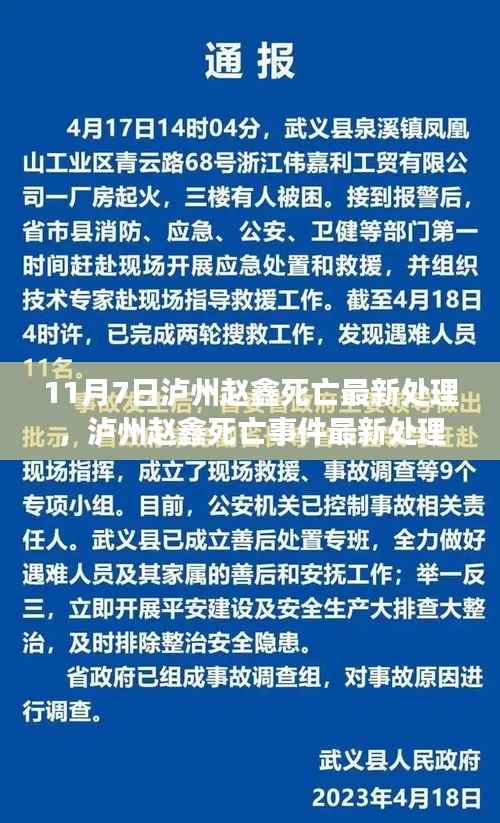 泸州赵鑫死亡事件最新处理结果,深度分析与观点阐述