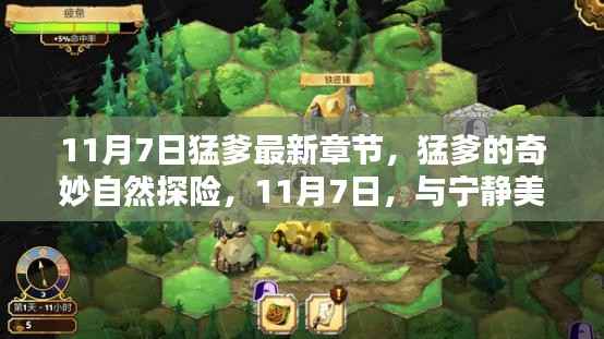 猛爹的奇妙自然探险,与宁静美景的不解之缘(最新章节 11月7日)