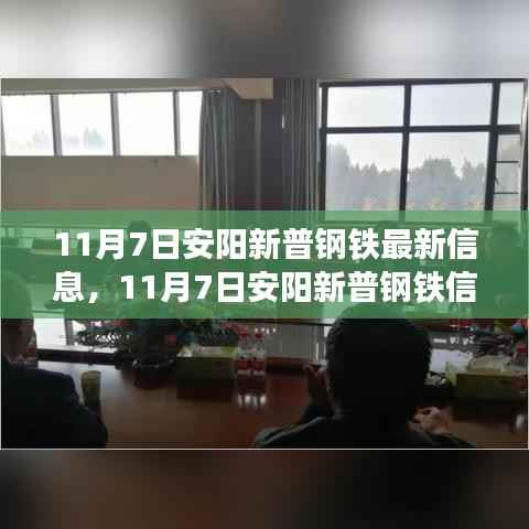 11月7日安阳新普钢铁信息全攻略,从初学者到进阶用户的任务完成与最新信息获取