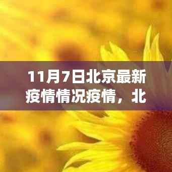 北京疫情下的积极力量,学习变化,自信闪耀,希望照亮未来(最新疫情情况)