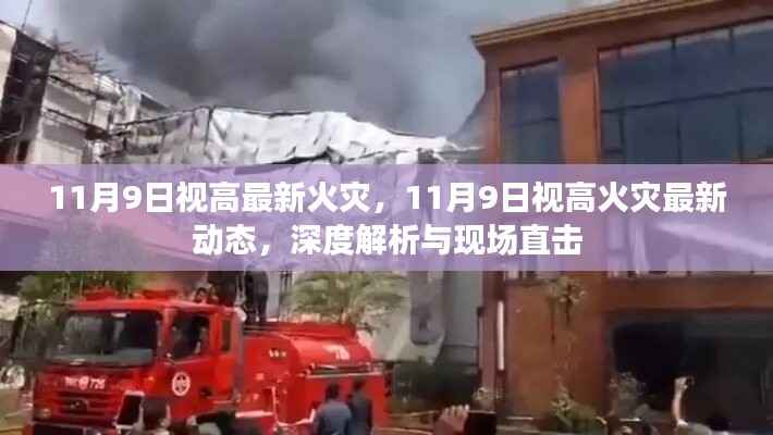11月9日视高火灾最新动态,深度解析与现场直击