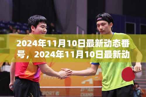 关于涉黄问题的探讨,最新动态与观点探讨(2024年11月10日更新)