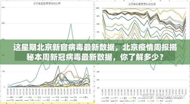 北京疫情周报，本周新冠病毒最新数据深度解析与公众知晓度探讨