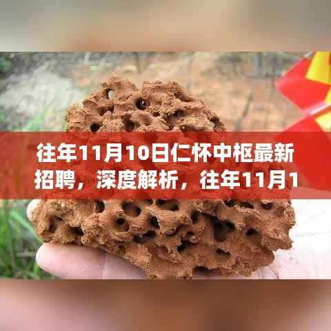 往年11月10日仁怀中枢招聘深度解析,一种独特视角的观察报告
