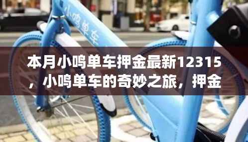 小鸣单车押金背后的暖心故事,最新更新与奇妙之旅