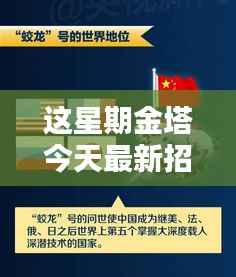 金塔最新招聘信息揭秘,小巷秘境与隐藏特色小店大探索