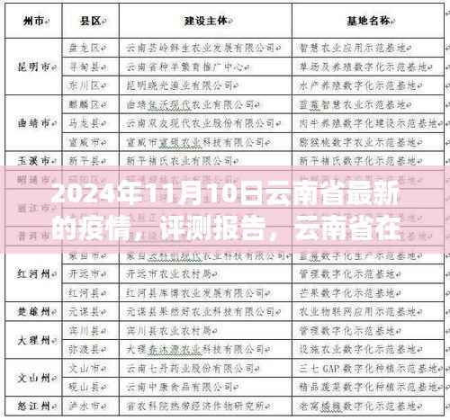 2024年11月10日云南省最新疫情概况分析与评测报告