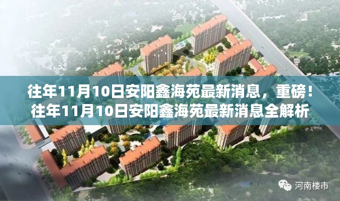 往年11月10日安阳鑫海苑最新消息全面解析重磅来袭!