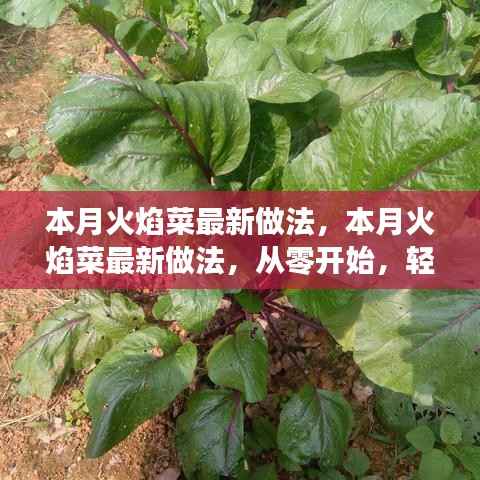本月火焰菜全新做法详解,零基础也能轻松掌握家常美食制作技巧