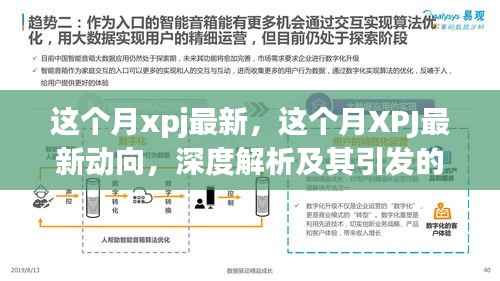 XPJ最新动向深度解析,观点碰撞与本月最新发展