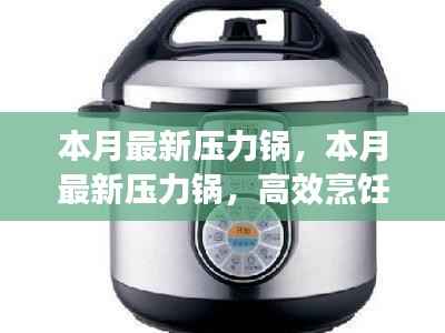 本月最新压力锅,高效烹饪的必备神器,轻松应对繁忙厨房生活!