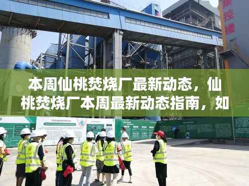 仙桃焚烧厂最新动态揭秘,本周运营更新与参与监督指南