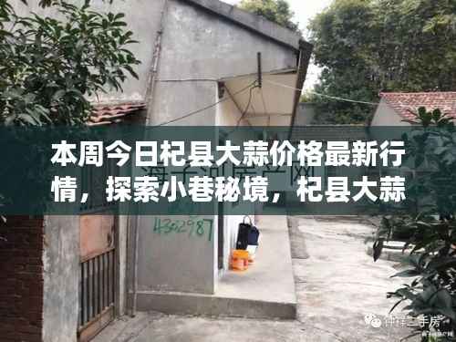 本周杞县大蒜价格最新动态与小巷秘境探索,特色小店背后的故事