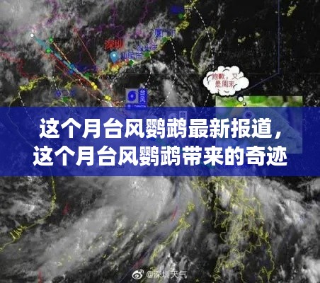 台风鹦鹉带来奇迹之旅,自然美景鼓舞人心之旅探索