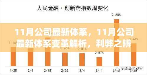 11月公司最新体系变革解析,利弊权衡与个人立场探讨