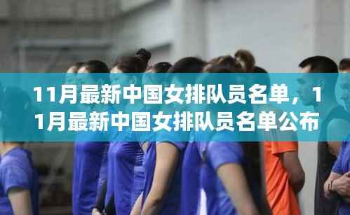 中国女排新篇章,11月最新队员名单公布,崛起的力量