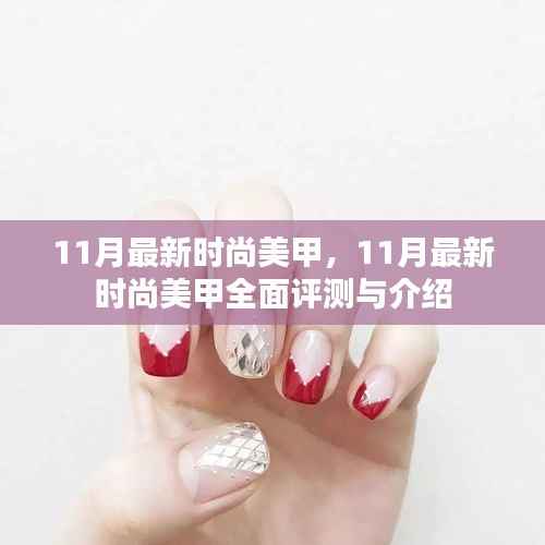 11月最新时尚美甲,全面评测与详细介绍