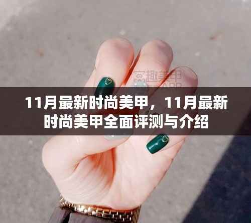 11月最新时尚美甲,全面评测与详细介绍