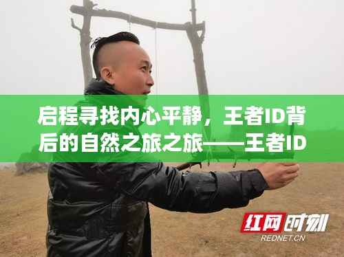 启程寻找内心平静,王者ID背后的自然之旅之旅——王者ID最新动态(11月13日)
