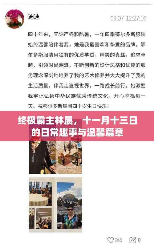 终极霸主林晨,十一月十三日的日常趣事与温馨篇章