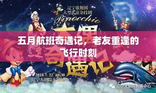五月航班奇遇记,老友重逢的飞行时刻