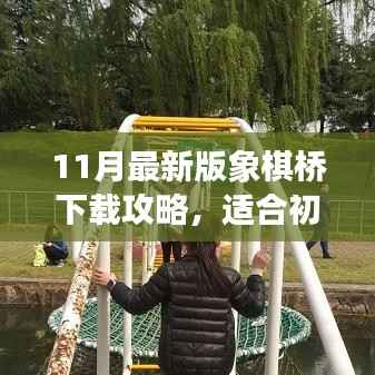 11月最新版象棋桥下载攻略,适合初学者与进阶用户的全安装指南