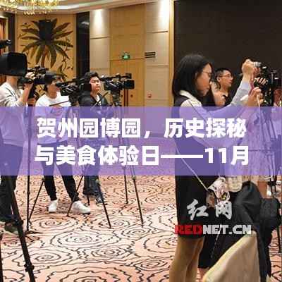 贺州园博园,历史探秘与美食体验日——11月14日的最新消息与惊喜之旅