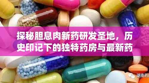 探秘胆息肉新药研发圣地,历史印记下的独特药房与最新药物进展(11月14日特辑)