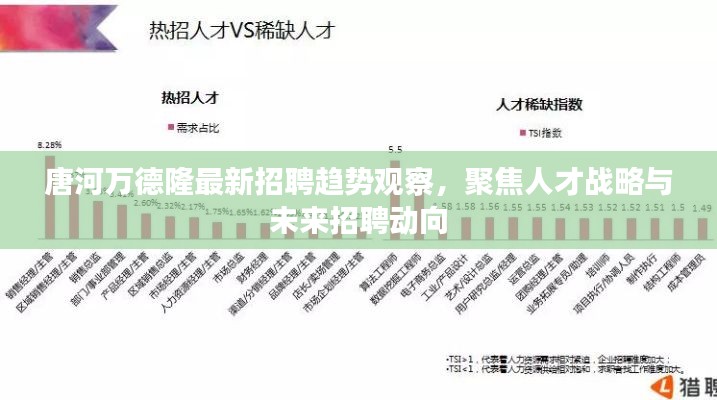唐河万德隆最新招聘趋势观察,聚焦人才战略与未来招聘动向