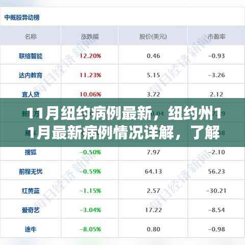 纽约州11月最新病例详解,了解、追踪与应对步骤指南
