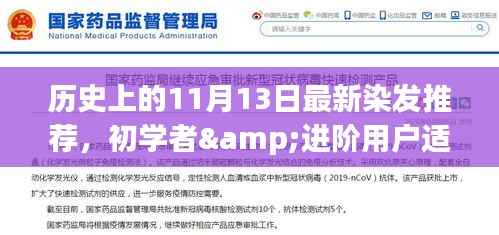 历史上的11月13日,最新染发推荐与详细技巧指南,适合初学者与进阶用户