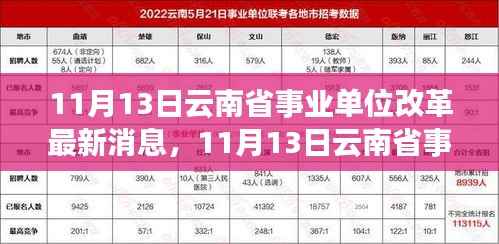 云南省事业单位改革最新动态,深度解读与观点阐述(11月13日更新)