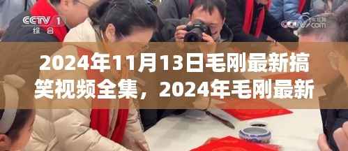 2024年11月13日毛刚最新搞笑视频全集,2024年毛刚最新搞笑视频全集,欢乐盛宴,不容错过