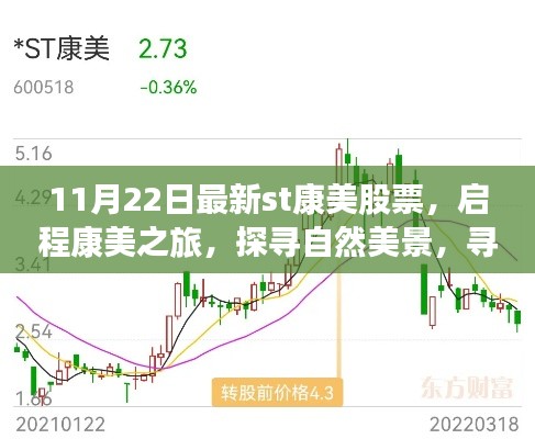 11月22日最新st康美股票,启程康美之旅,探寻自然美景,寻找心灵净土