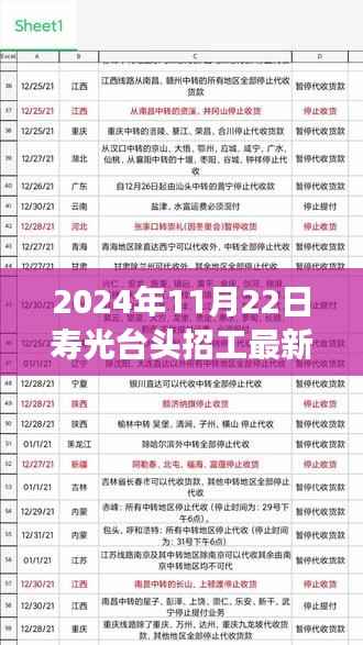 寿光台头招工最新消息解读，聚焦最新招工动态（2024年11月22日）