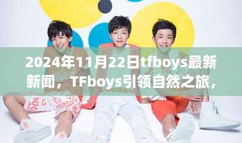 TFboys绿色征途,引领自然之旅的最新动态(2024年11月22日)