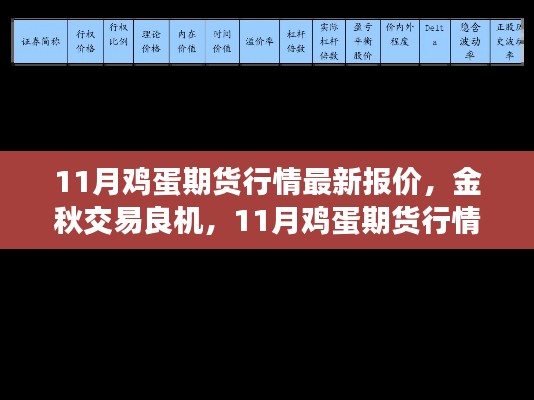 11月鸡蛋期货行情深度评测,金秋交易良机与最新报价