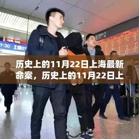 上海历史上的11月22日命案深度解析与观点探讨