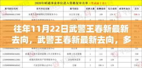 多方观点分析与个人立场探讨,武警王春新最新去向揭秘