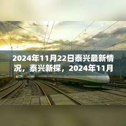 泰兴新探,自然美景的不期而遇