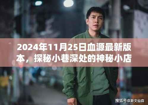 探秘神秘小店,2024年血源最新版本的独特体验揭秘