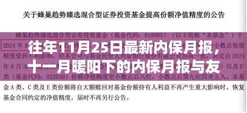 暖阳下的十一月内保月报,友情与保障的双重故事